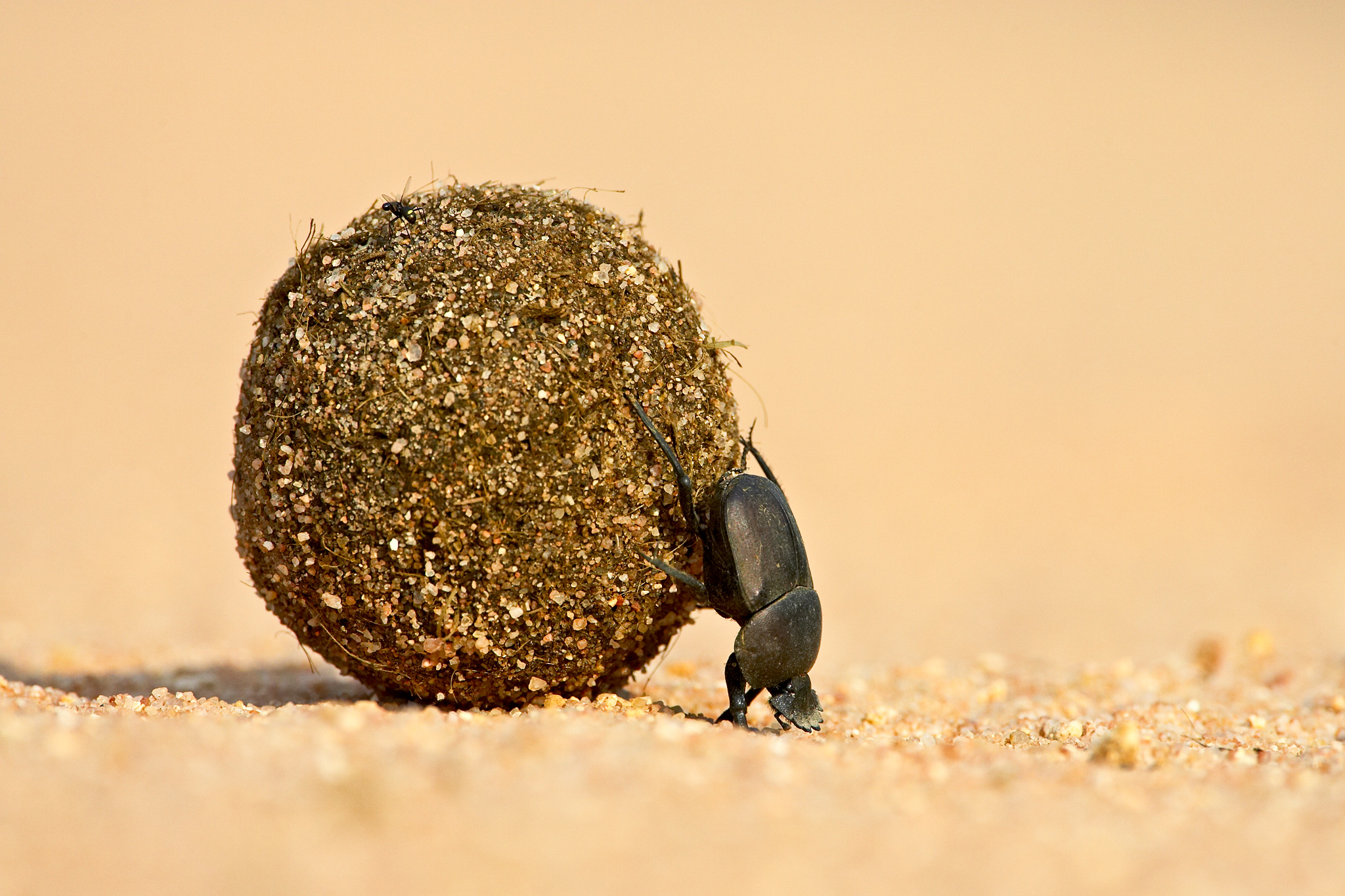 Big Ball of Mud